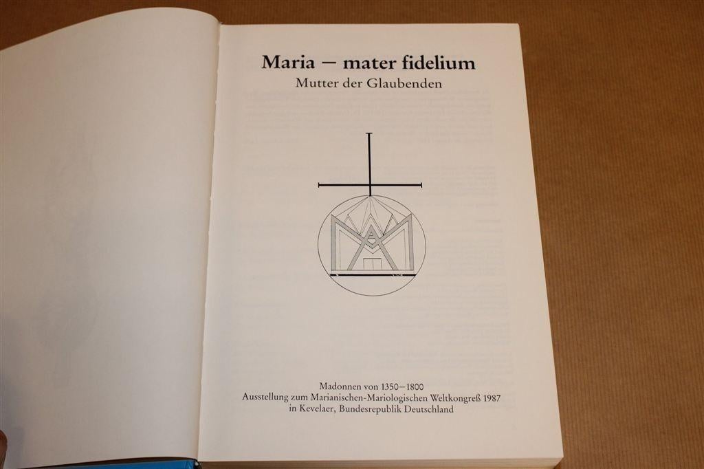 Het Mariabeeld — Madonna\'s uit 1350-1800, Ophalen of Verzenden, Zo goed als nieuw