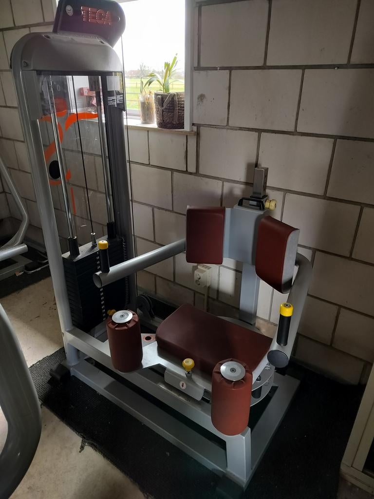 Teca Fitness Apparaat 670 - Rotary Torso Rom, Ophalen, Buik, Krachtstation, Zo goed als nieuw