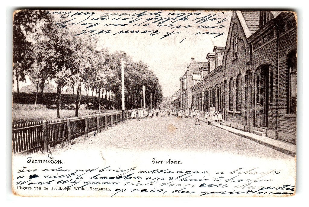 Terneuzen, Grenulaan, Verzenden, Voor 1920, Gelopen, Zeeland