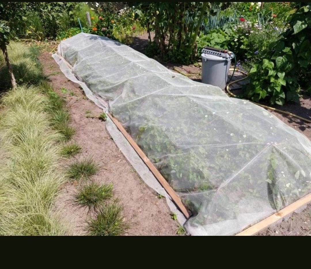 Tuingaas vogelnet insectengaas moestuinnet gaas beschermgaas, Ophalen of Verzenden, Nieuw, Ongediertebestrijding