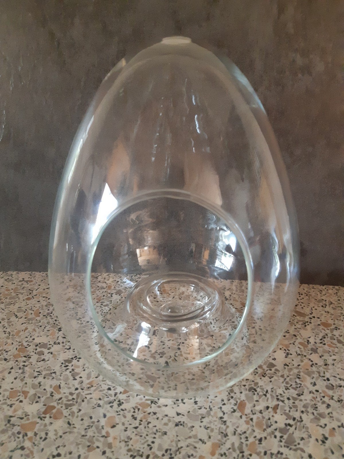 Glazen Terrarium Eivormig., Ophalen, Zo goed als nieuw, Transparant, Glas