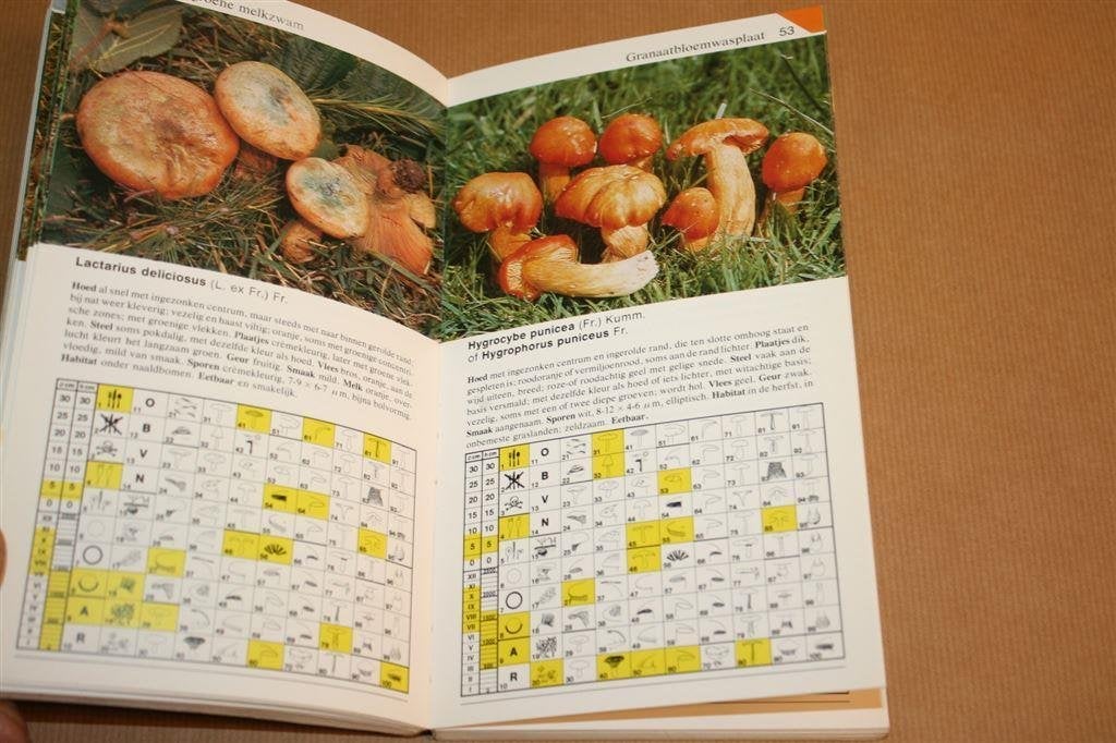 Paddestoelen in een oogopslag. U. Nonis., Boeken, Ophalen of Verzenden, Gelezen