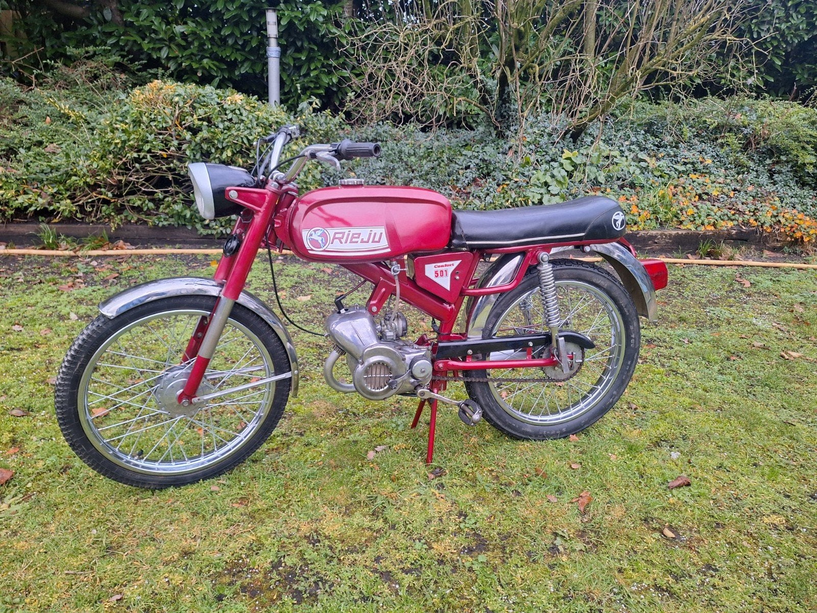 rieju 501 confort. oldtimer brommer, Ophalen, Maximaal 45 km/u, Zo goed als nieuw, 50 cc