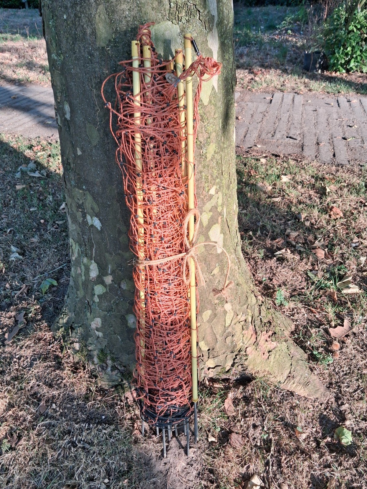 Afrastering, Meerdere dieren, Schaap