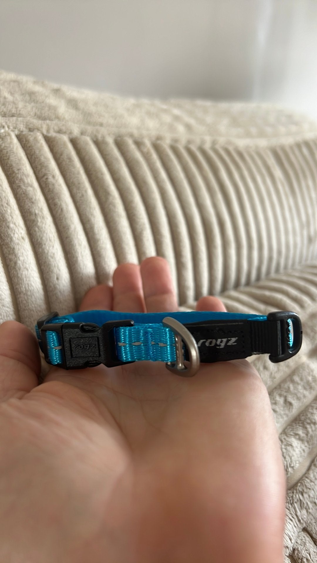 Puppy halsband maat xs, Ophalen, Zo goed als nieuw