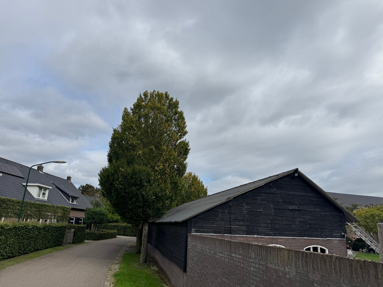 Asbestvrije veselcement golfplaten +/- 150m2, Ophalen, Overige materialen, Gebruikt, Zwart