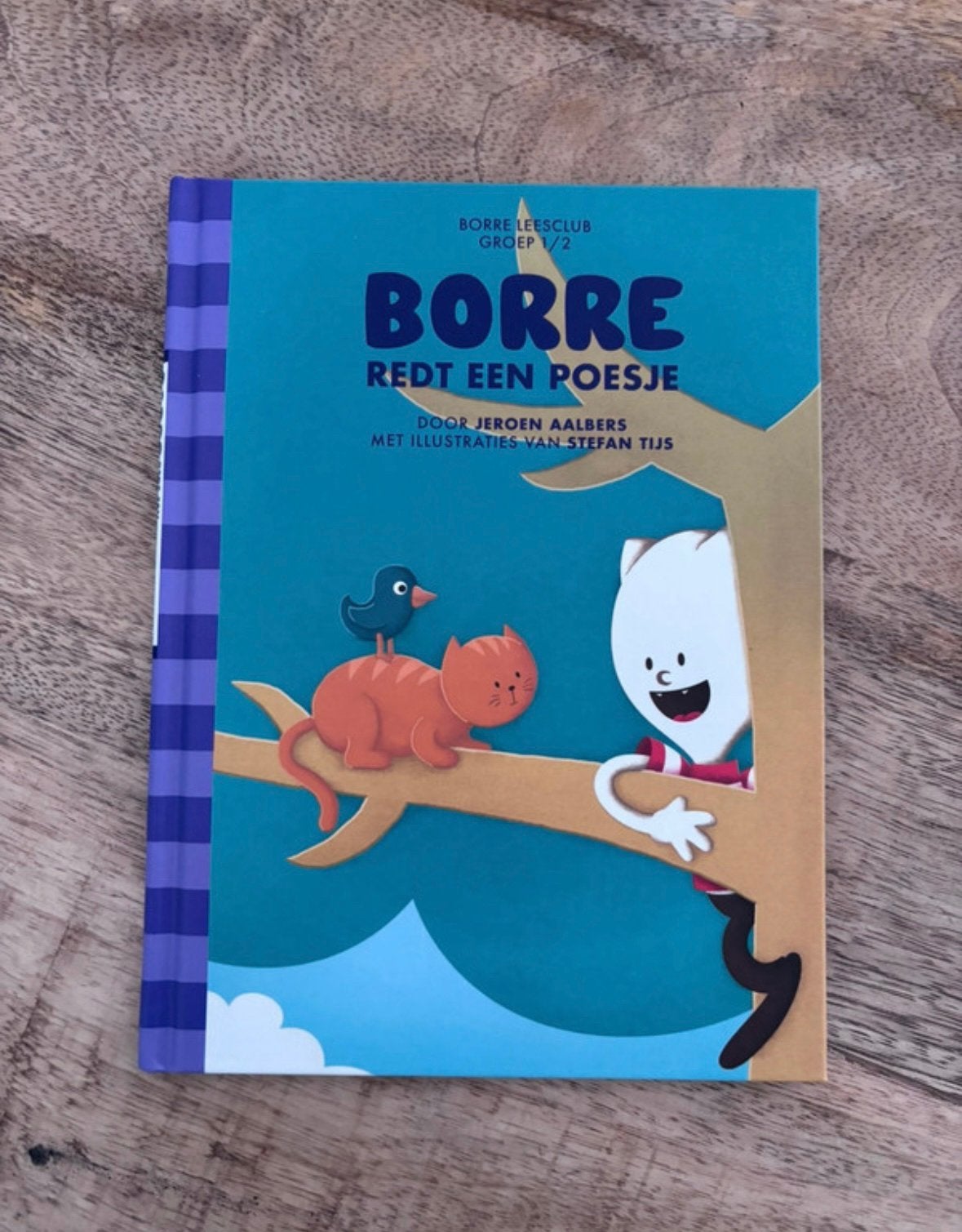 Borre redt een poesje – Leesclub Groep 1/2 (Hardcover), Ophalen, 5 of 6 jaar, Fictie algemeen, Jongen of Meisje
