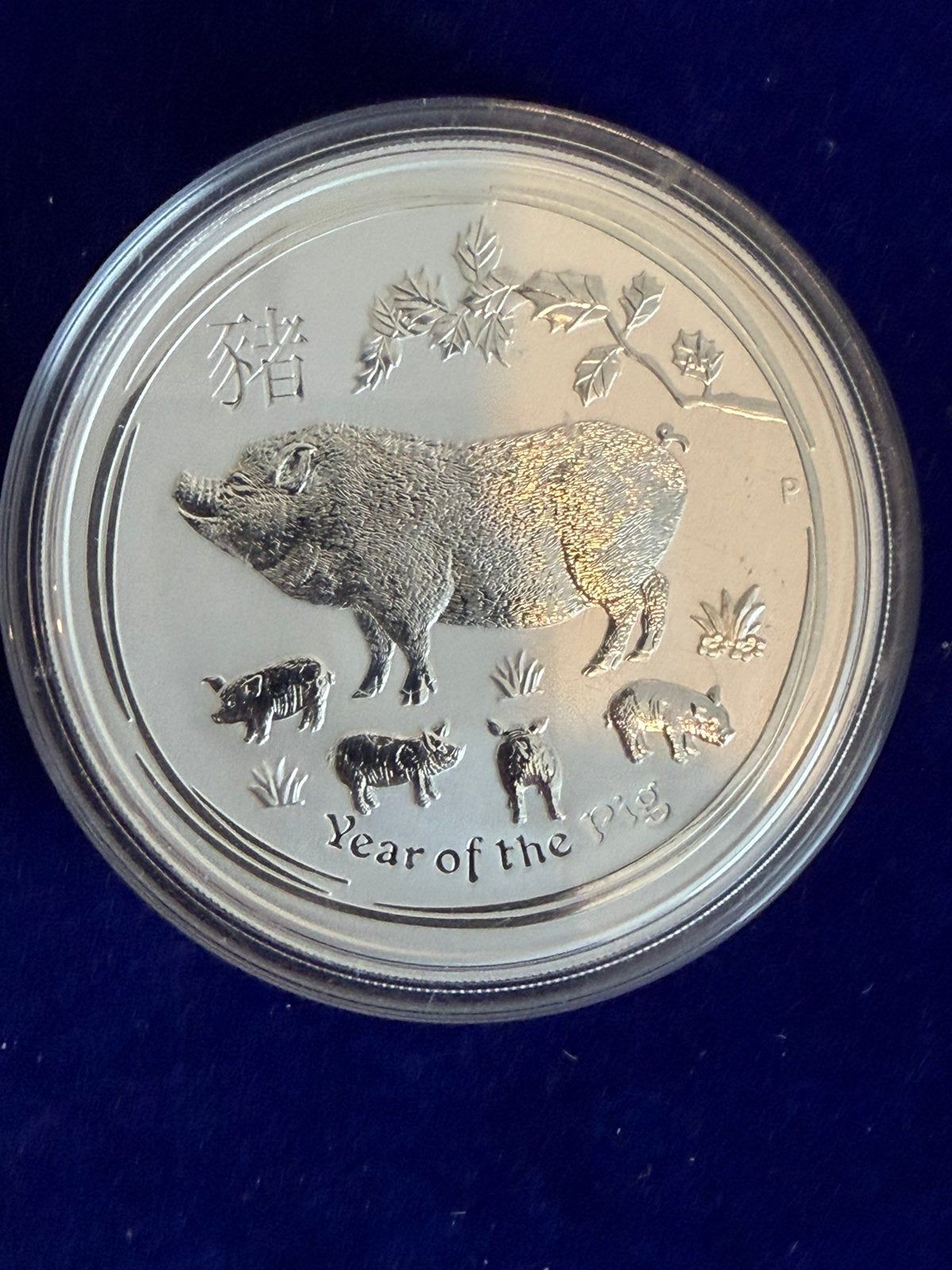 Lunar 2  5 oz zilver varken 2019, Postzegels en Munten, Edelmetalen en Baren, Ophalen of Verzenden, Zilver