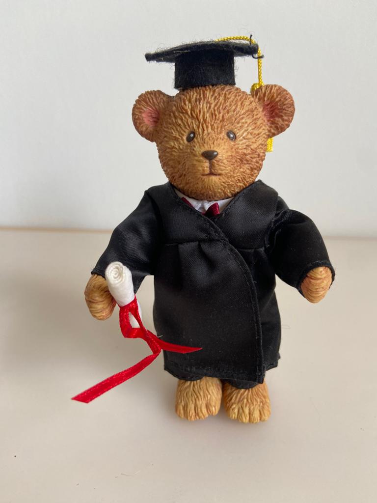 Beertje geslaagd 23 cm Graduation bear, Ophalen of Verzenden, Gebruikt, Overige typen, Overige merken