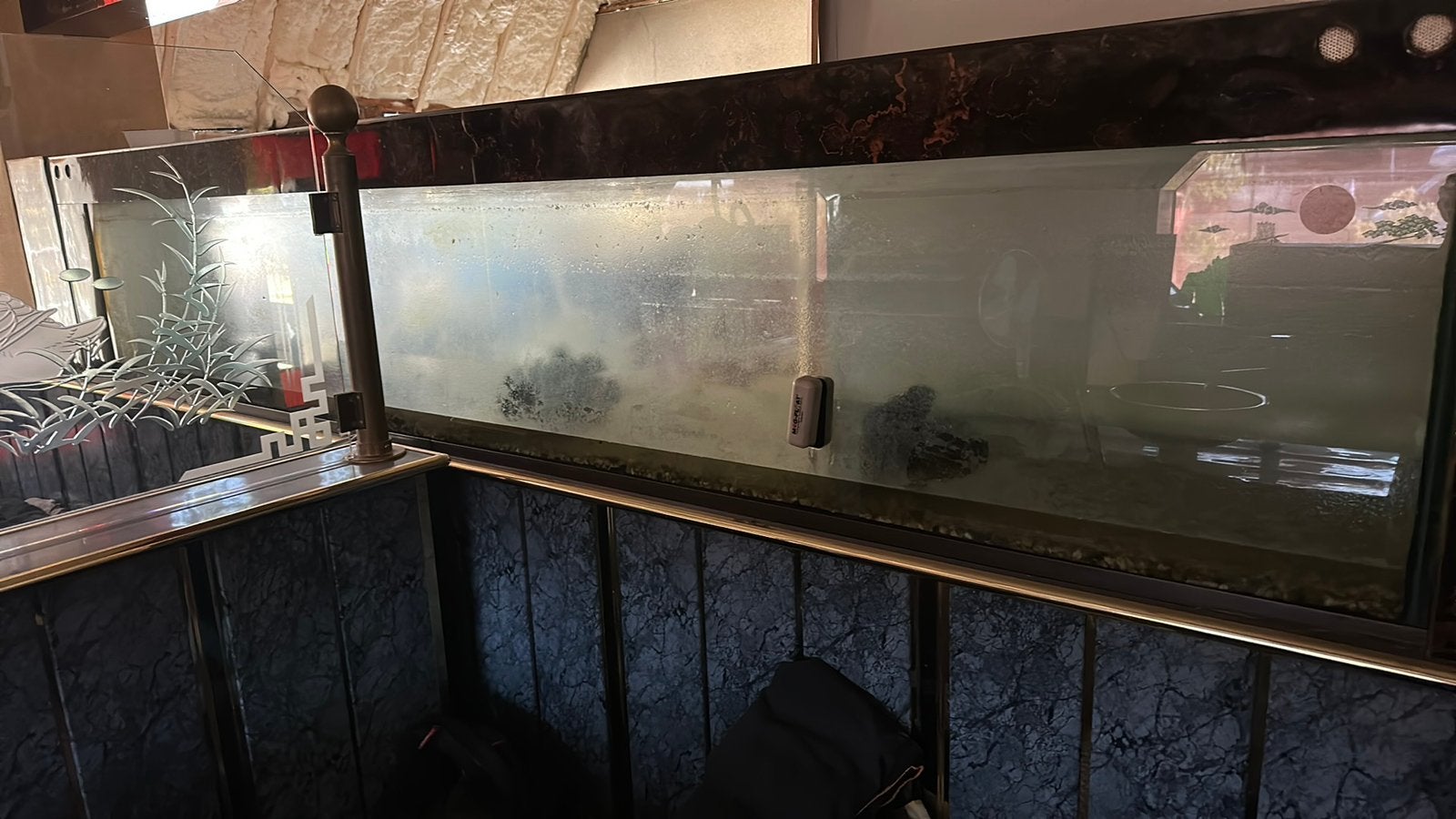 Groot aquarium 293 cm !!!, Ophalen