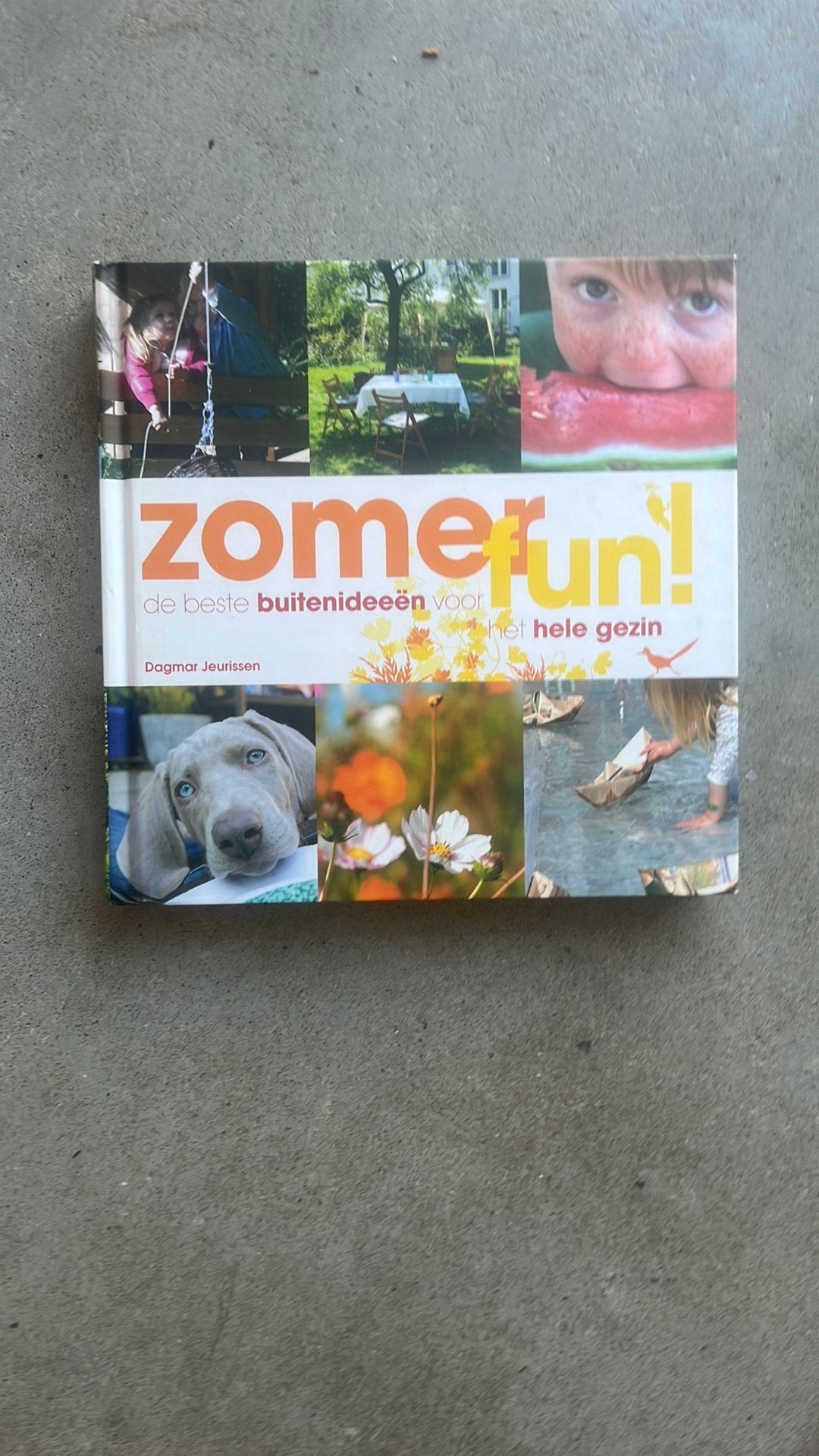 Zomerfun buitenideeën voor het hele gezin, Dagmar jeurissen, Nieuw, Ophalen of Verzenden, Overige onderwerpen