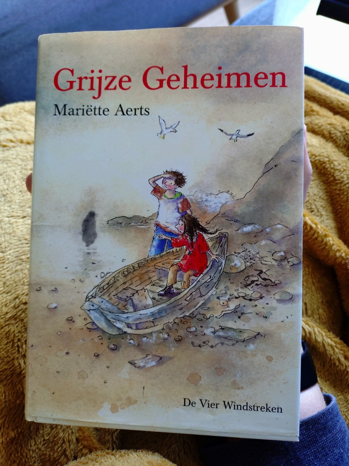 Mariëtte Aerts - Grijze geheimen, Boeken, Ophalen of Verzenden, Zo goed als nieuw, Mariëtte Aerts, Fictie