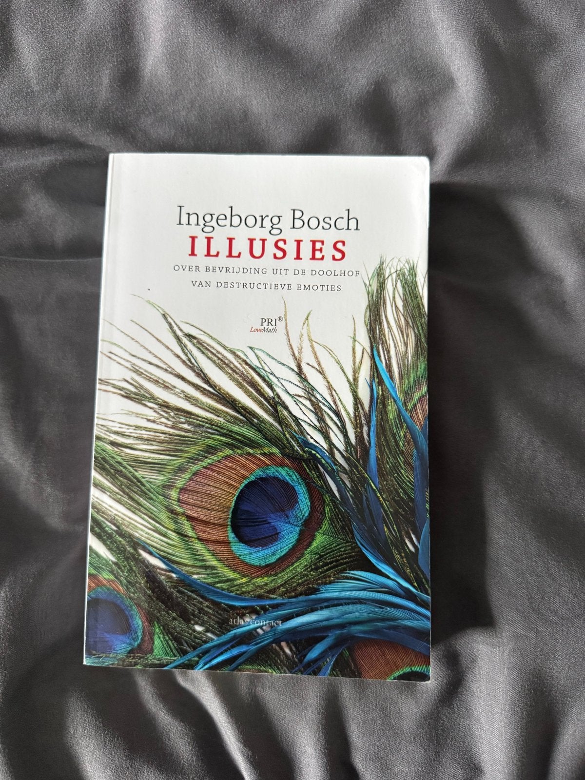 Ingeborg Bosch - Illusies: Over bevrijding uit de doolhof, Ophalen of Verzenden, Zo goed als nieuw, Nederland