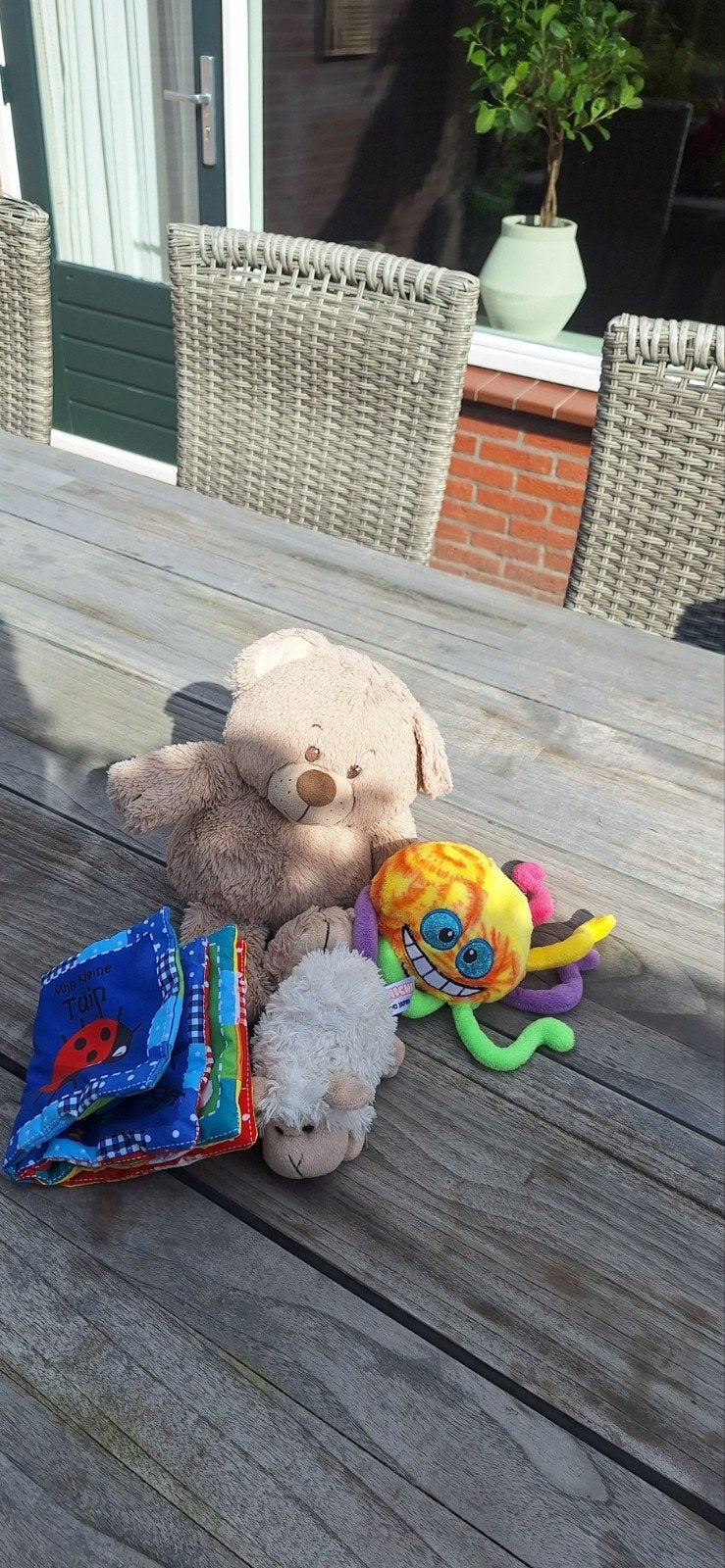 Gratis op te halen: Knuffels en stoffen boekje, Ophalen, Gebruikt, Meerkleurig, Beer