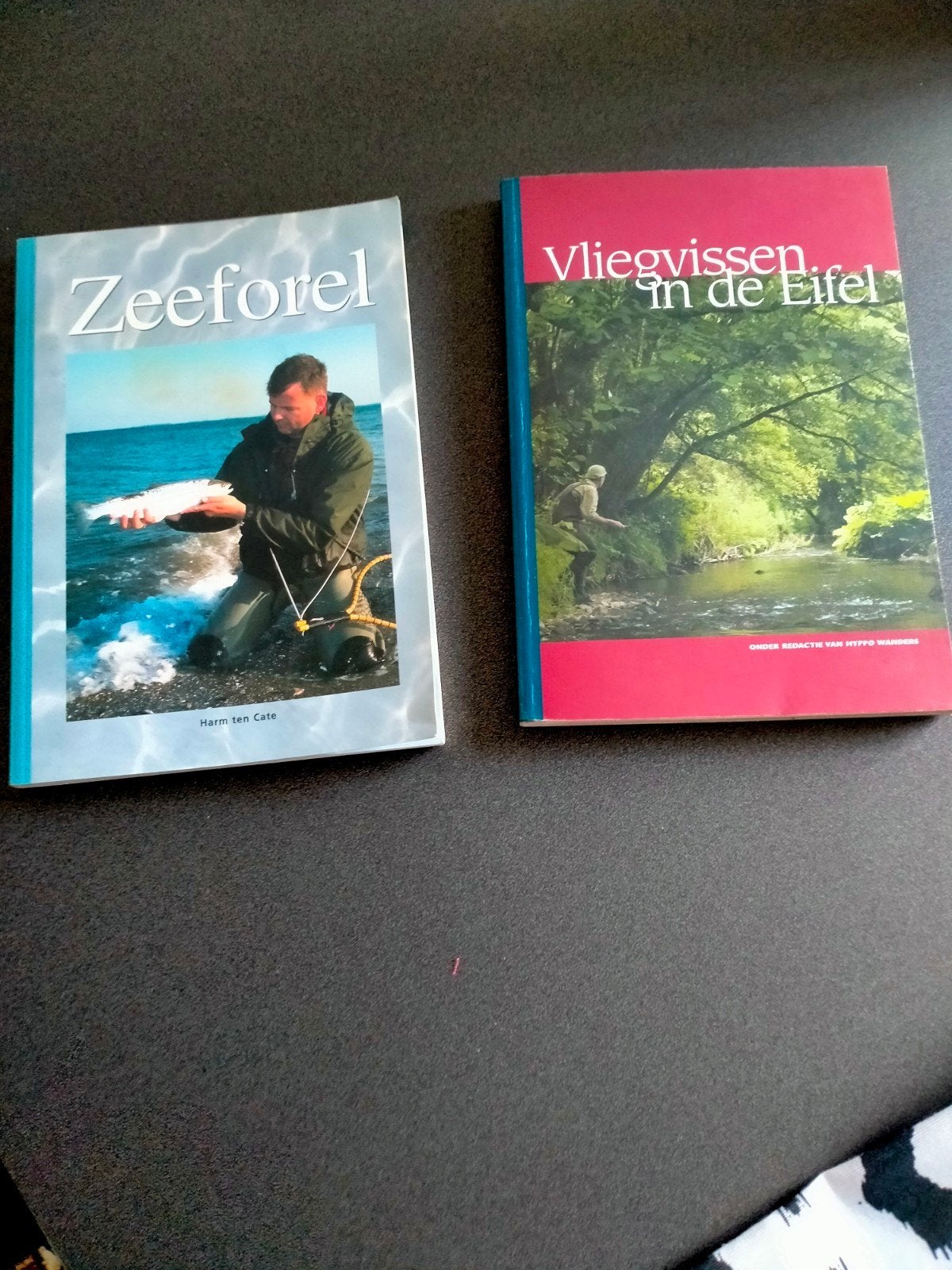 Twee vliegvisboeken, Watersport en Boten, Hengelsport | Vliegvissen, Ophalen of Verzenden, Overige typen