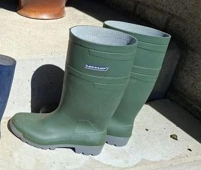 Dunlop groene regenlaarzen maat 44, Kleding | Heren, Schoenen, Overige kleuren, Ophalen of Verzenden, Dunlop, Regenlaarzen