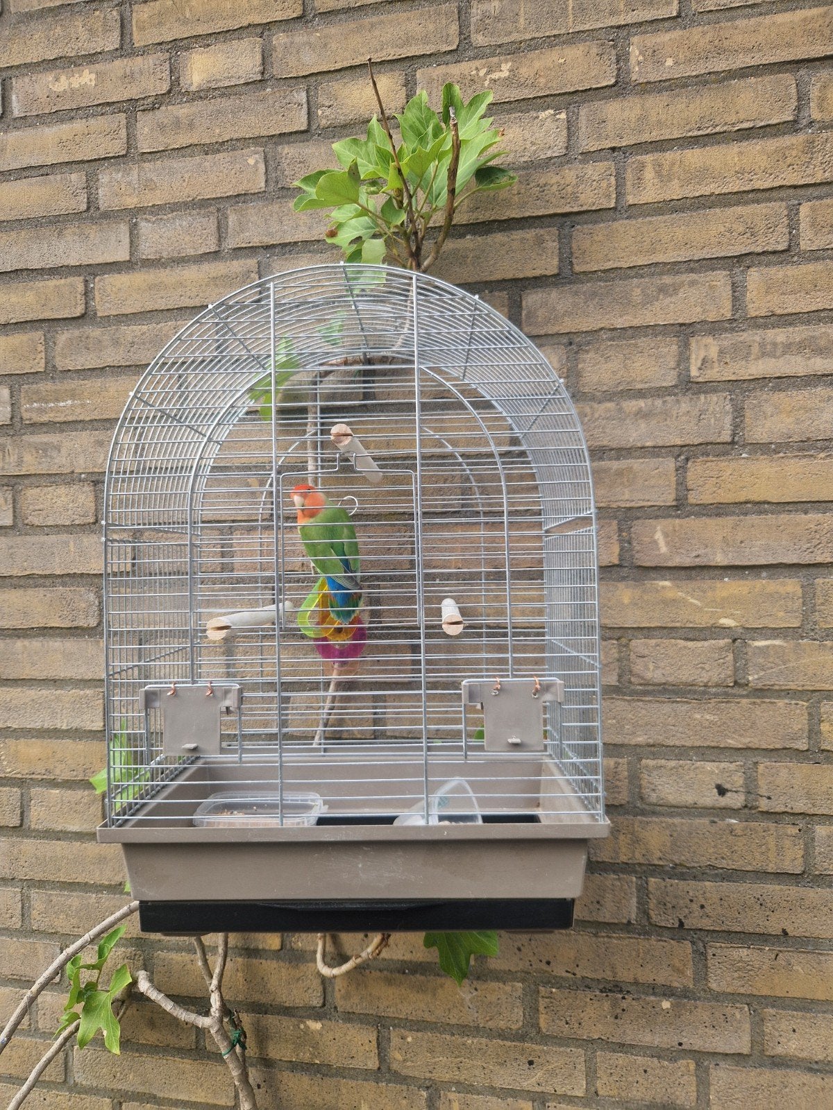 Vogelkooi kooi volière vogel, Ophalen of Verzenden, Zo goed als nieuw, Metaal, Vogelkooi