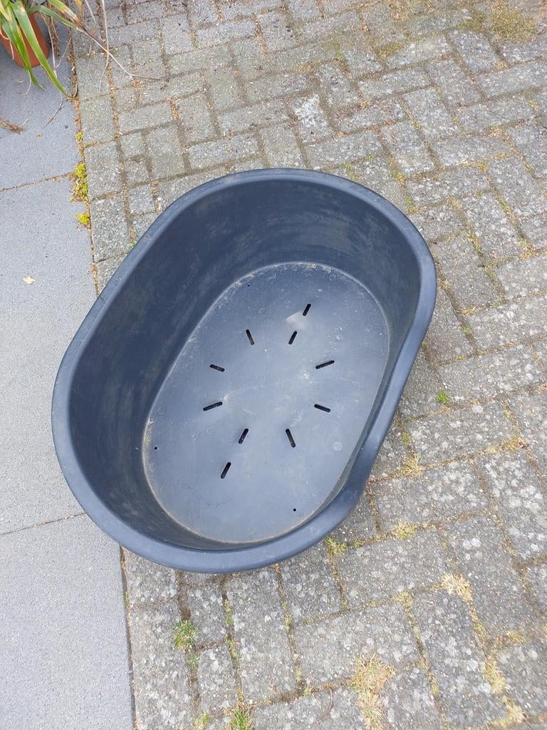 Hondenmand, Dieren en Toebehoren, Ophalen