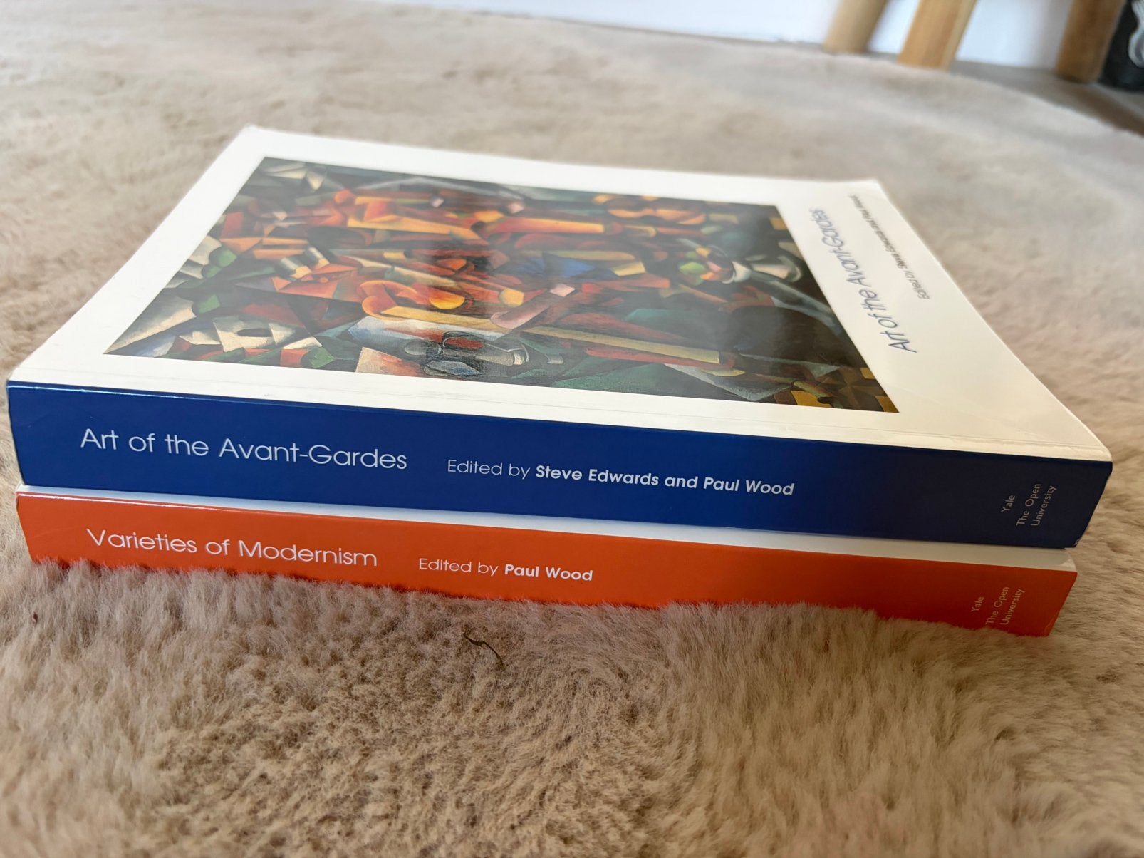 Art of the Avant-Gardes & Varieties of Modernism, Ophalen of Verzenden, Zo goed als nieuw, Schilder- en Tekenkunst
