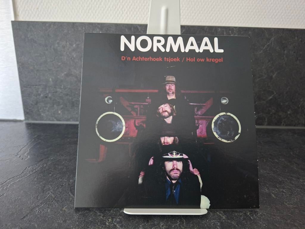 Single Normaal/D'n Achterhoek tsjoek, Ophalen of Verzenden, Zo goed als nieuw, Nederlandstalig