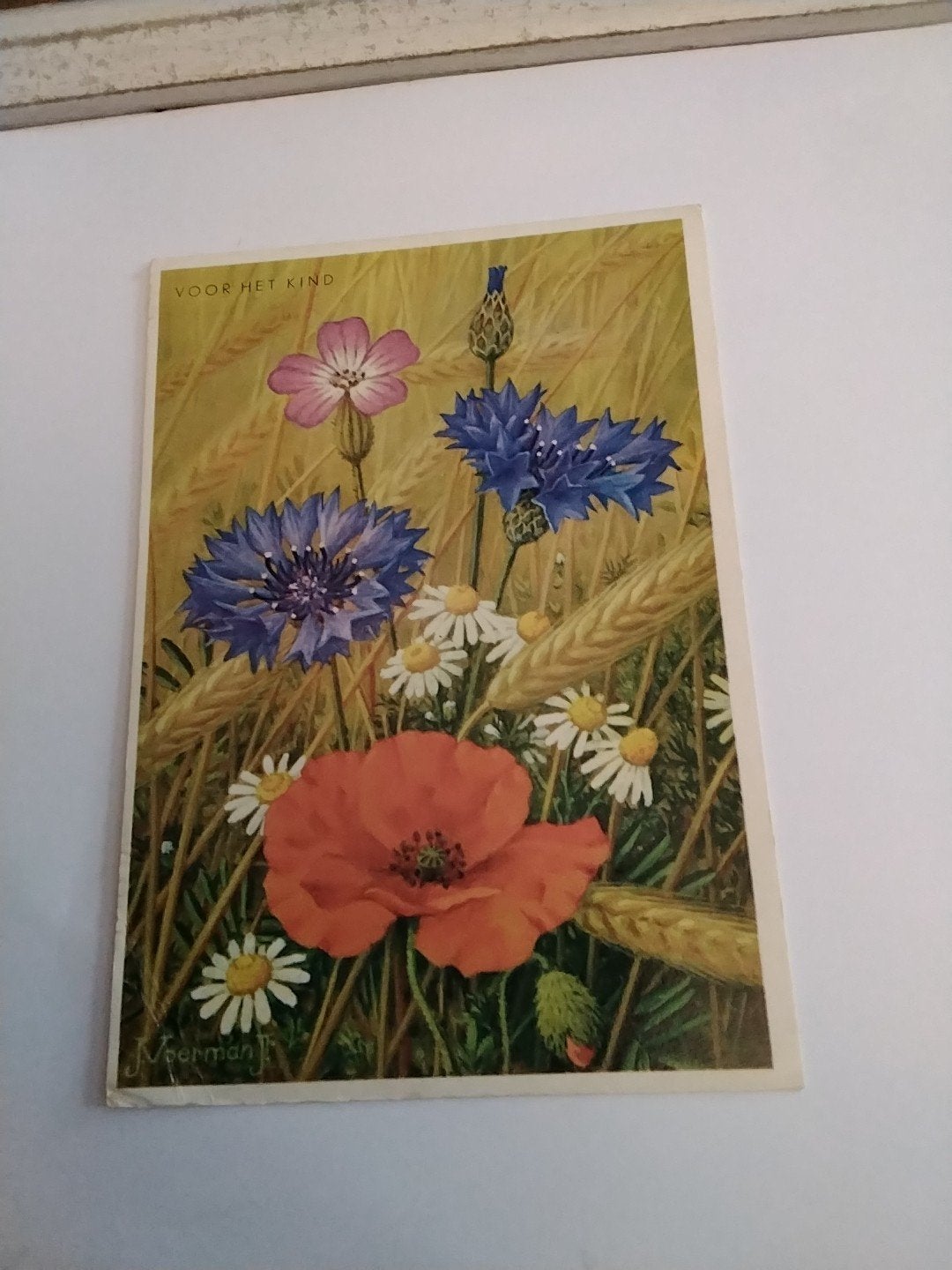 Oude ansichtkaart 'Voor het Kind' - Bloemen  J.Voerman, Verzamelen, Ophalen of Verzenden