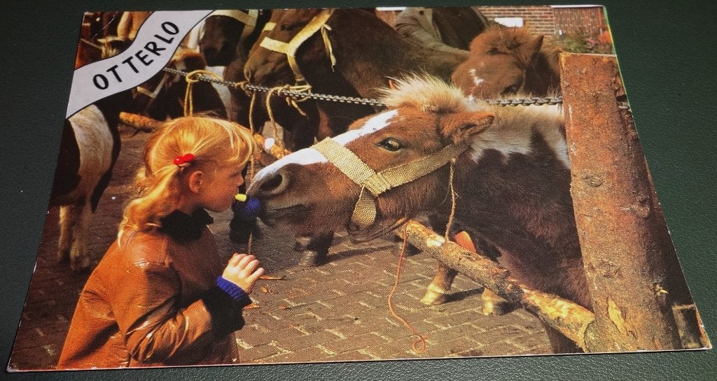 Paarden - Meisje neust met paard - Otterlo - KHo02, Verzenden, 1980 tot heden, Gelopen, Paard