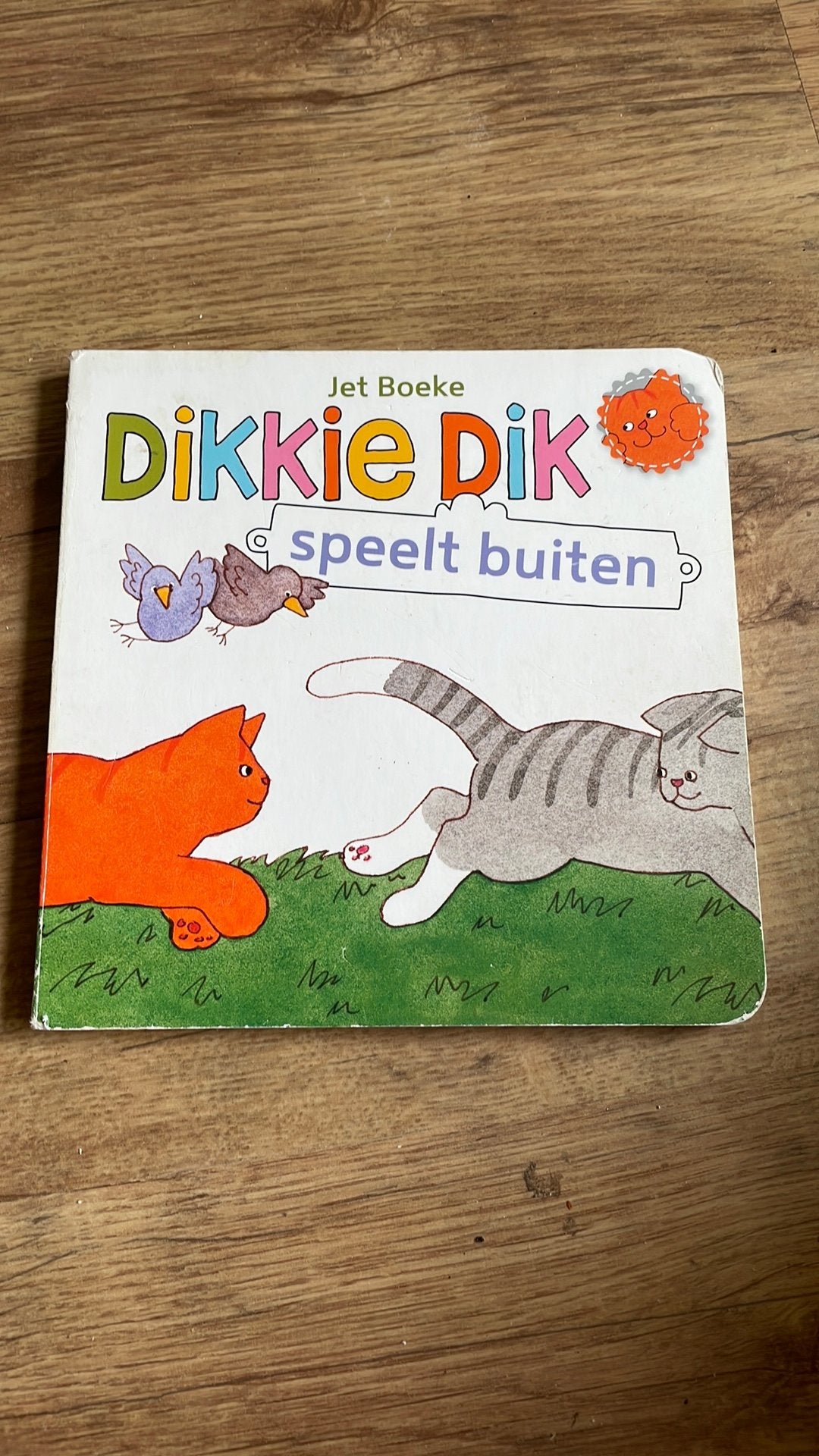 Dikkie Dik - speelt buiten (Special), Ophalen of Verzenden, Zo goed als nieuw, Fictie algemeen