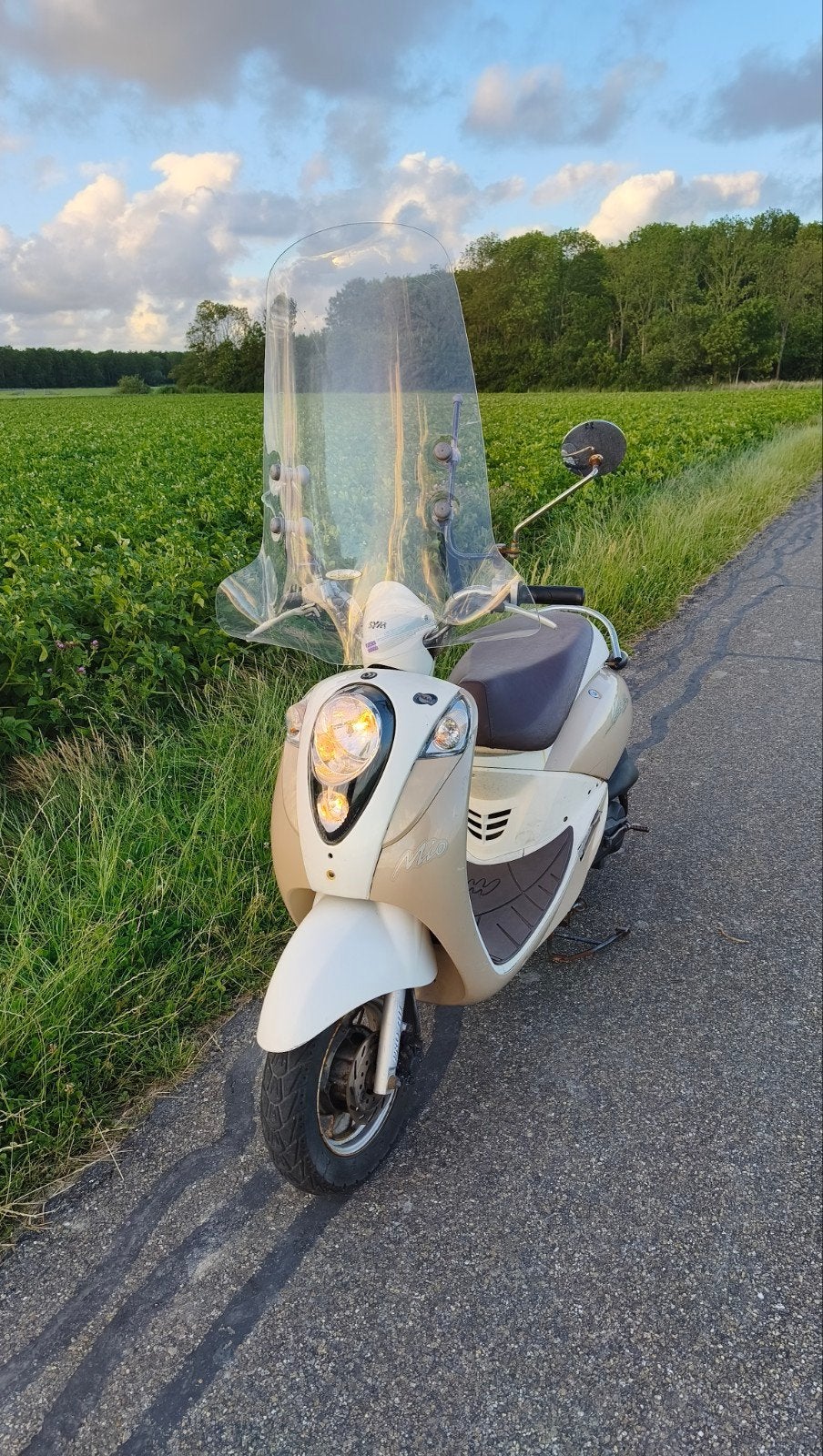 Sym mio 50 geel kenteken., Fietsen en Brommers, Scooters | SYM, Mio, Maximaal 45 km/u, Ophalen of Verzenden, Zo goed als nieuw