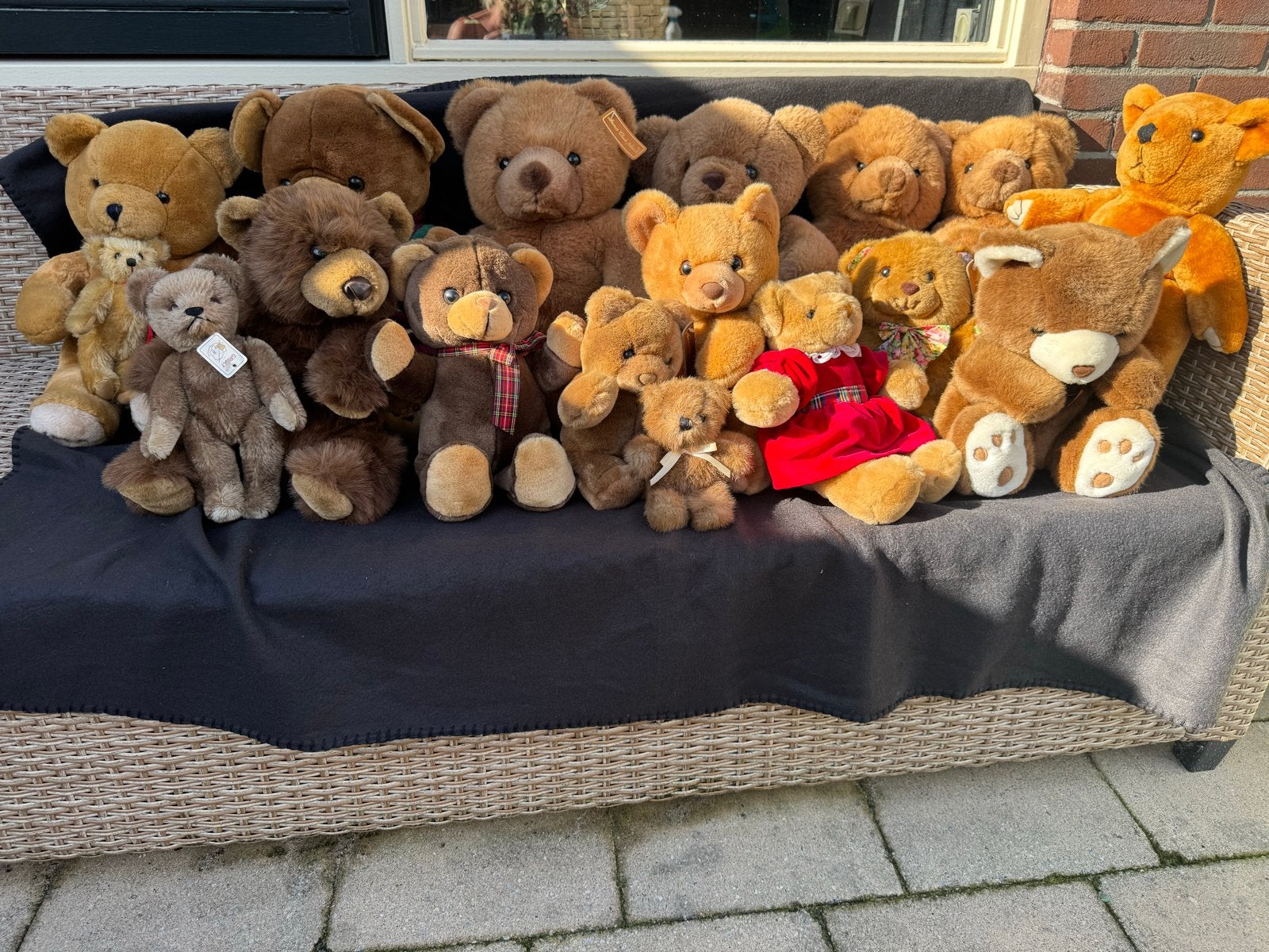 Grote collectie teddyberen - diverse maten en merken, Gebruikt, Beer, Ophalen of Verzenden, Middelgroot (20 tot 80 cm)