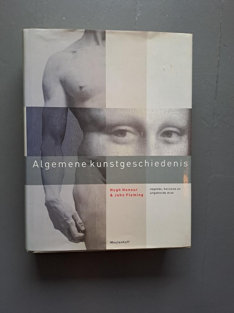 Algemene kunstgeschiedenis - Boek over kunstgeschiedenis, Boeken, Ophalen of Verzenden, Gelezen, Overige onderwerpen, Onbekend