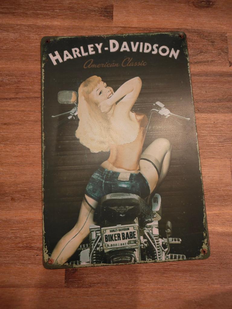 Harley Davidson reclame bord, Verzamelen, Ophalen of Verzenden, Reclamebord