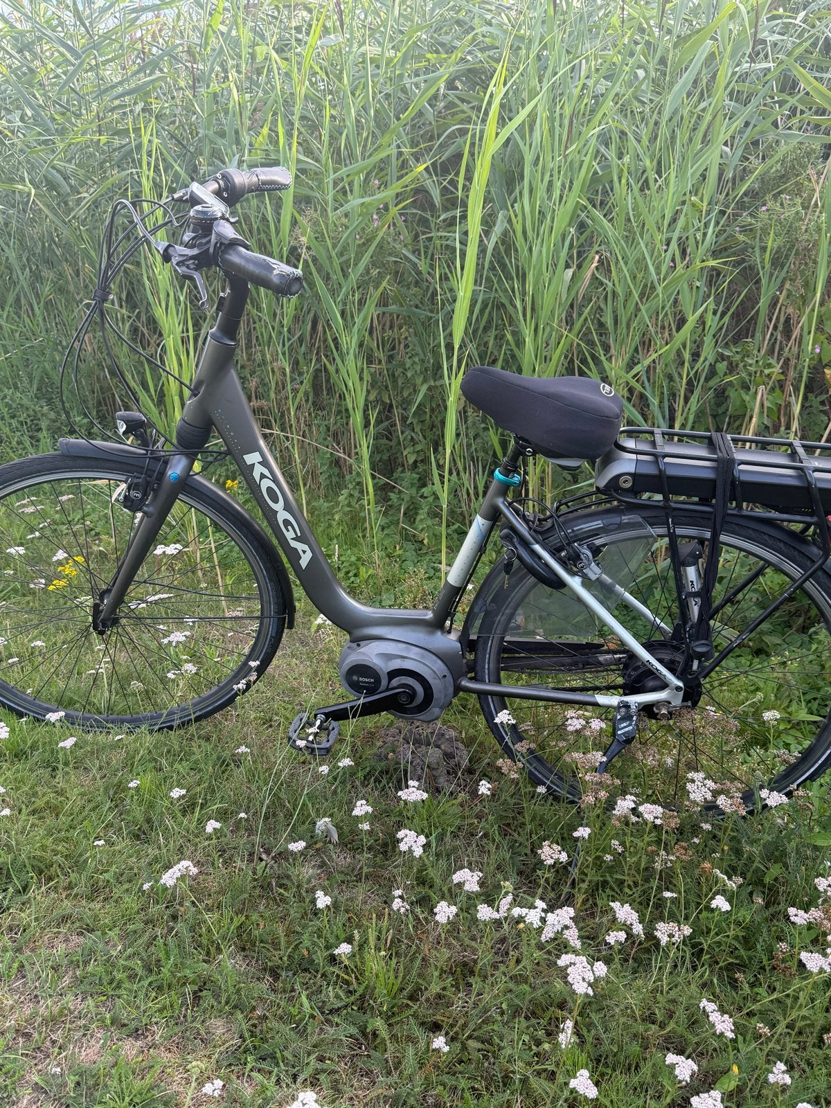 Koga e-Nova elektrische fiets - comfortabel en soepel, 51 tot 55 cm, Ophalen, Gebruikt, Overige merken