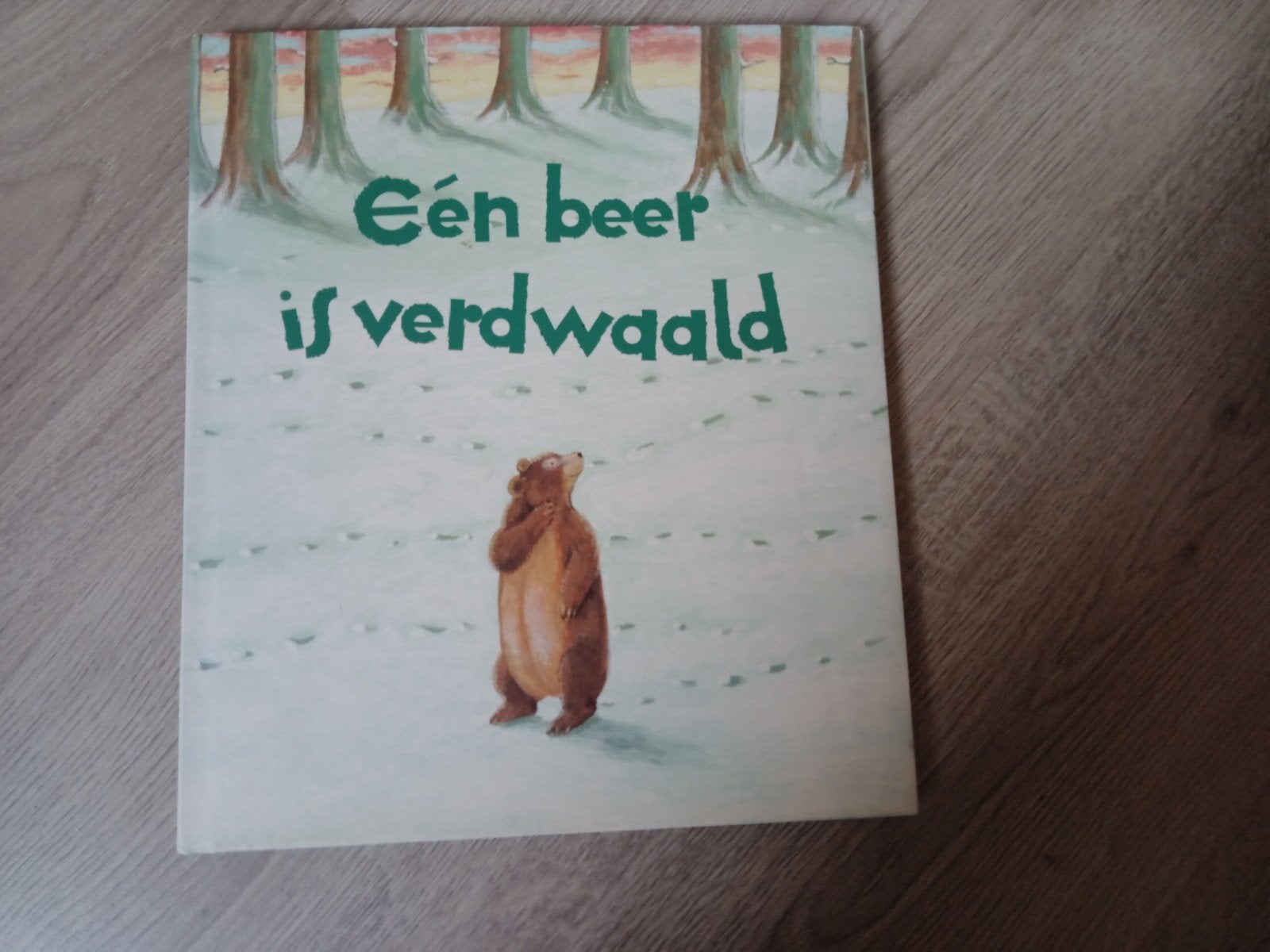 Een beer is verdwaald. Karen Hayles, Boeken, Ophalen of Verzenden, Zo goed als nieuw