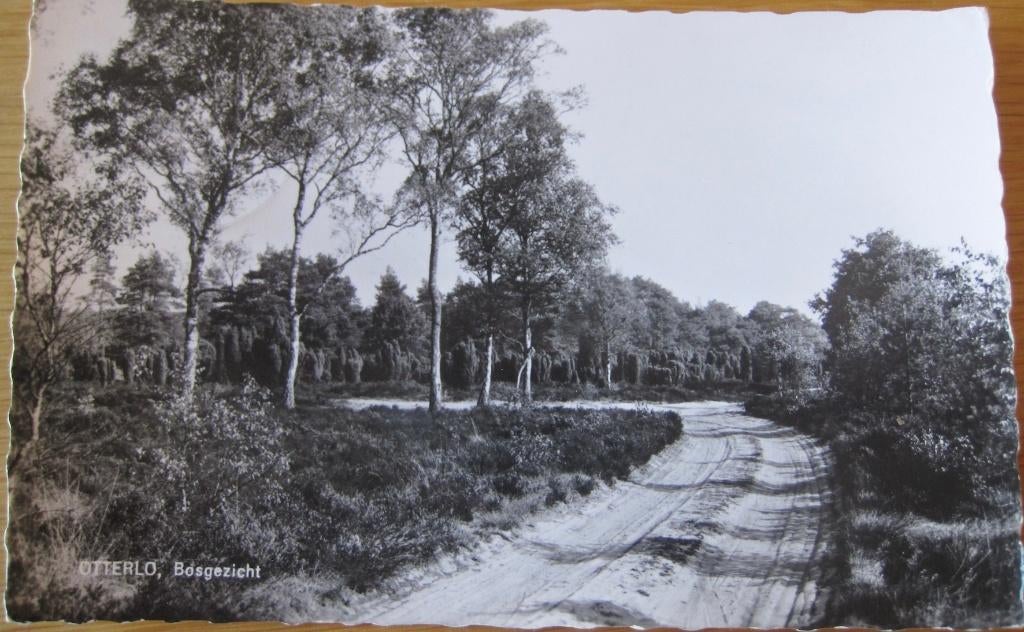 twee keer Otterlo - bosgezicht - zandverstuiving - 1964-1974, Verzenden, 1960 tot 1980, Gelopen, Gelderland