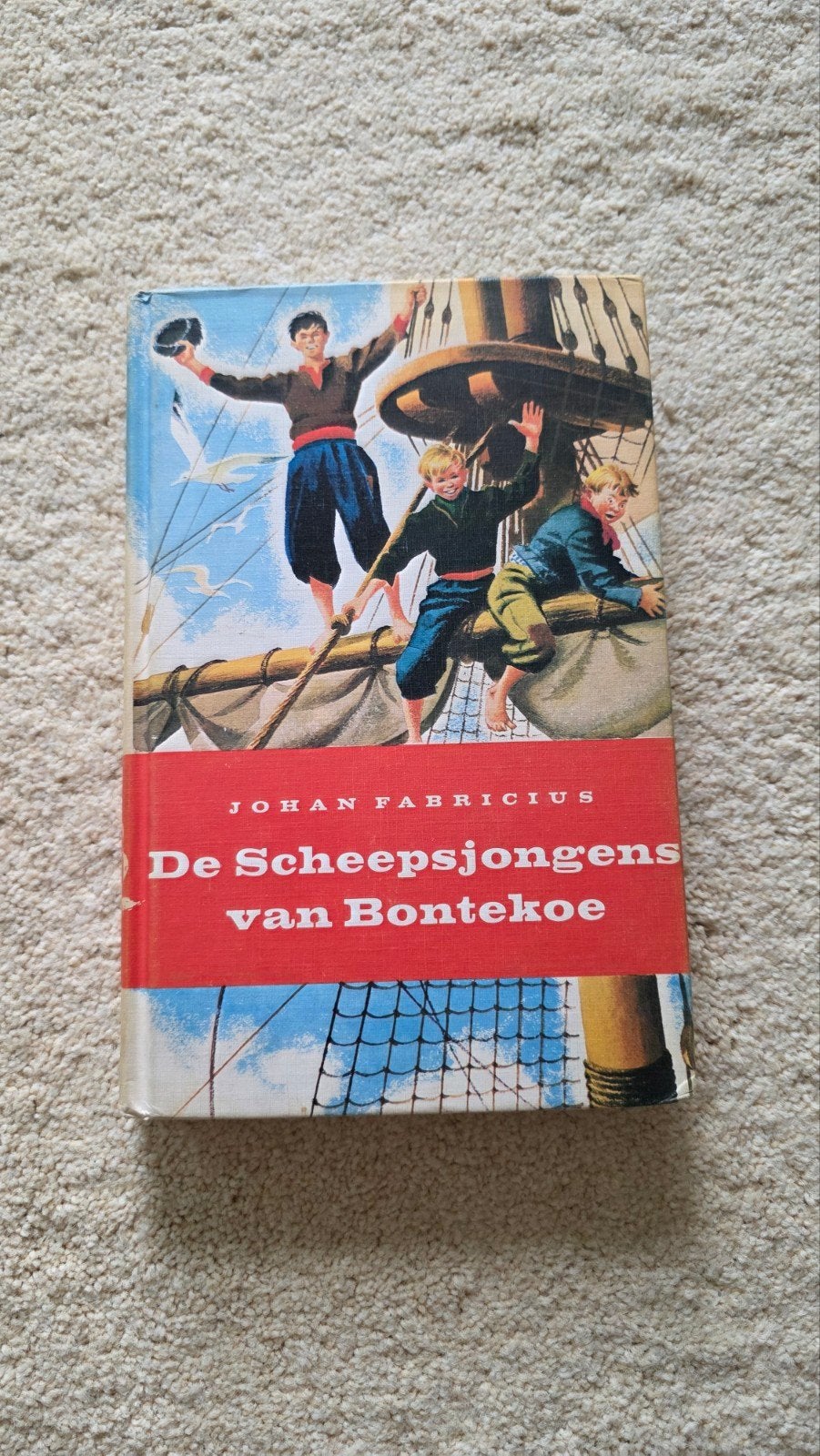 De Scheepsjongens van Bontekoe - Johan Fabricius, Ophalen of Verzenden, Gelezen, Johan Fabricius, Fictie algemeen
