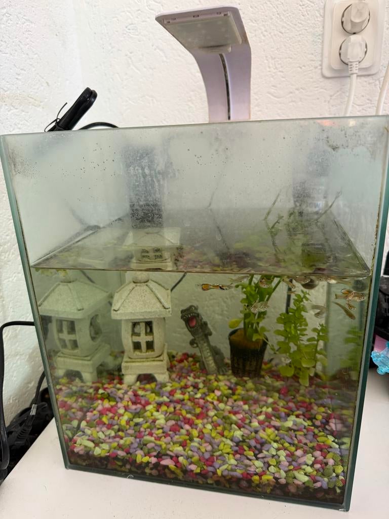 Aquarium, Dieren en Toebehoren, Ophalen of Verzenden, Zo goed als nieuw, Leeg aquarium