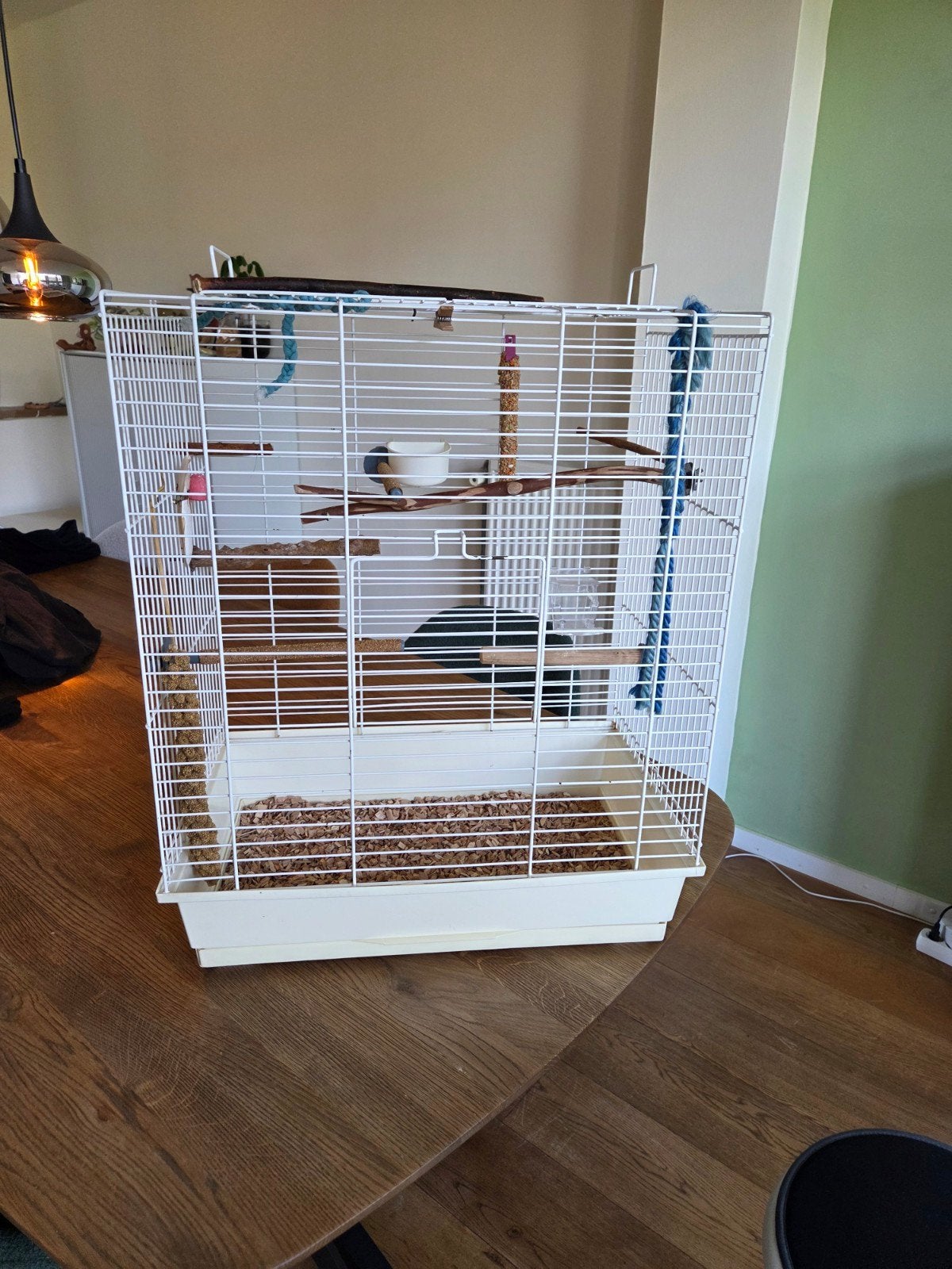 Vogelkooi met veel extra's, Dieren en Toebehoren, Ophalen, Gebruikt, Metaal, Vogelkooi