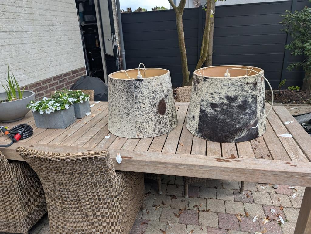 Twee lampenkappen van echt koeienhuid, Ophalen, Minder dan 50 cm