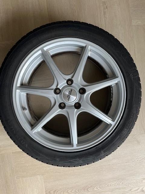 Winterbanden 225 45 R 17, Auto-onderdelen, Banden en Velgen, Ophalen, Gebruikt, 17 inch, Winterbanden