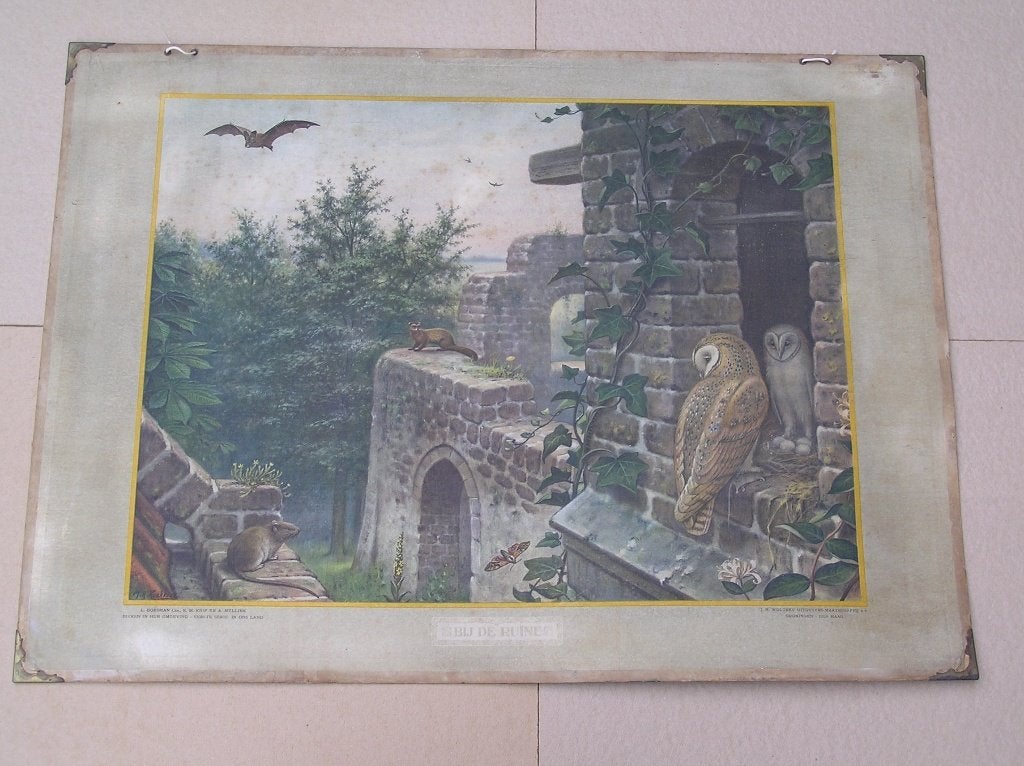 Schoolplaat Bij de ruine, Antiek en Kunst, Antiek | Schoolplaten, Ophalen, Natuur en Biologie
