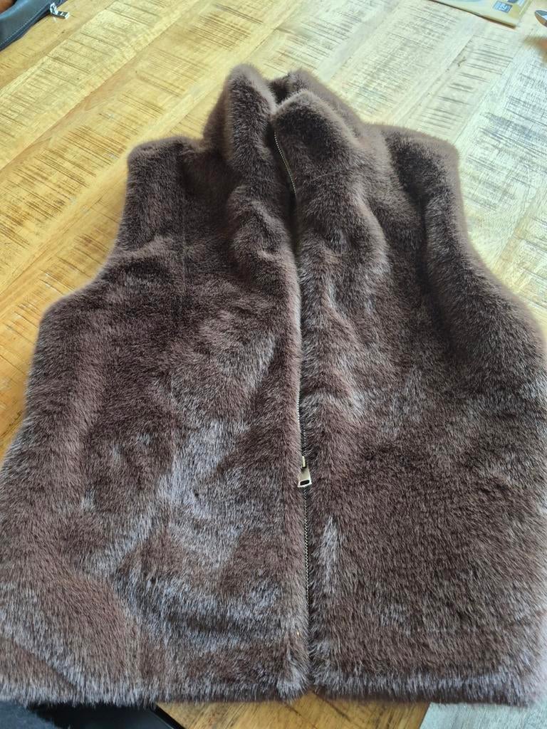 Bruin faux fur gilet, Kleding | Dames, Maat 38/40 (M), Bruin, Ophalen of Verzenden, Onbekend