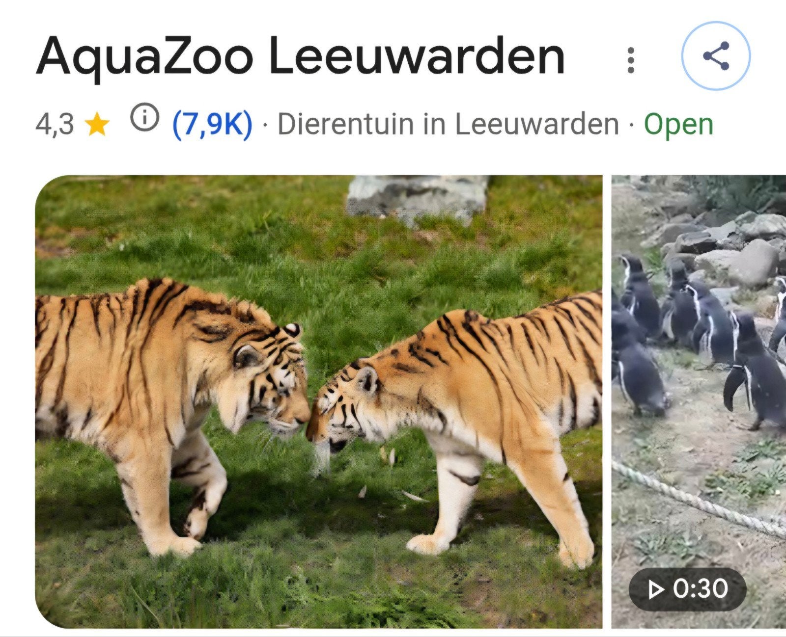 aquazoo dierentuin 2 tickets