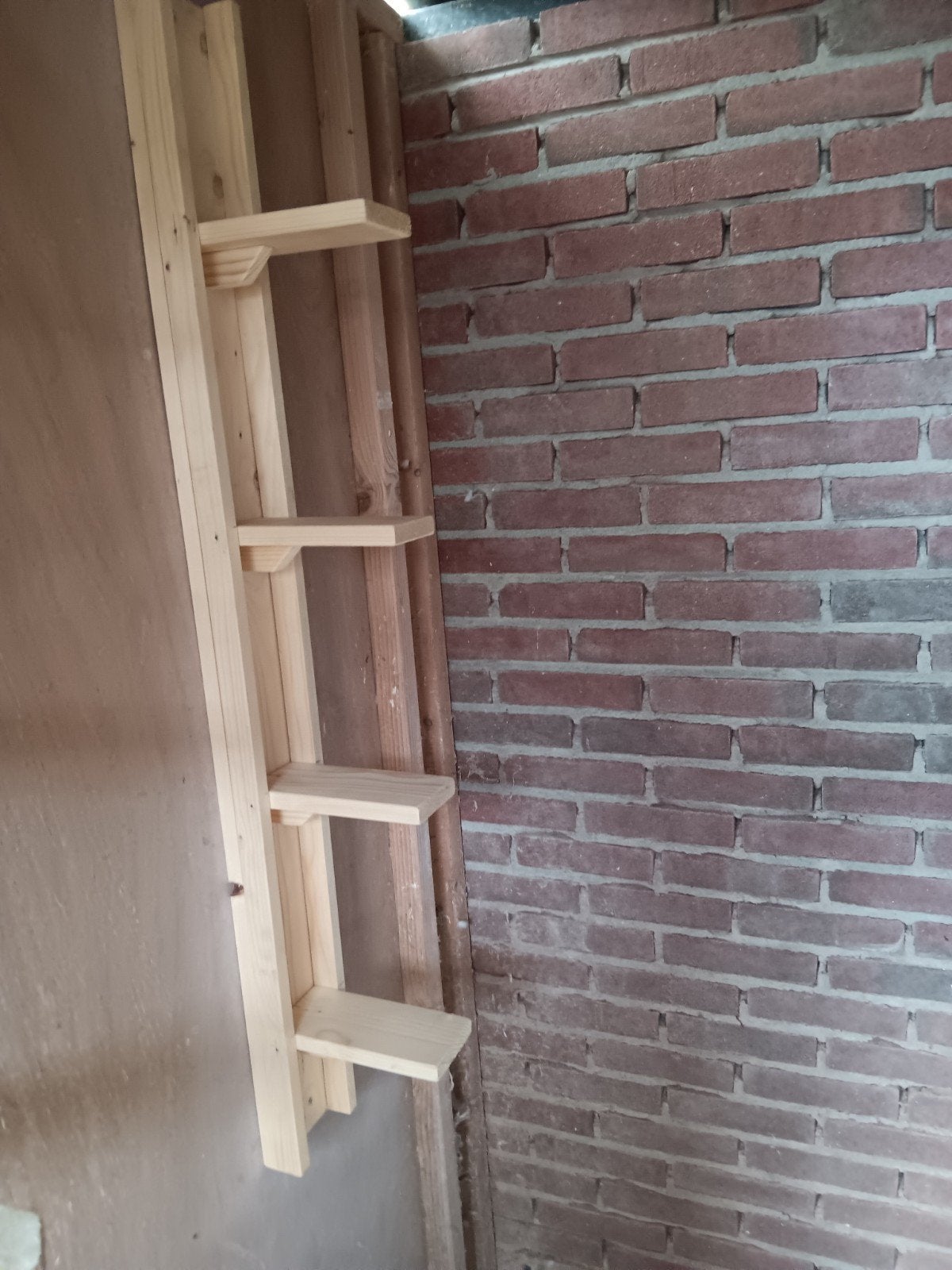 Zit/motivatie schapjes, Mannelijk