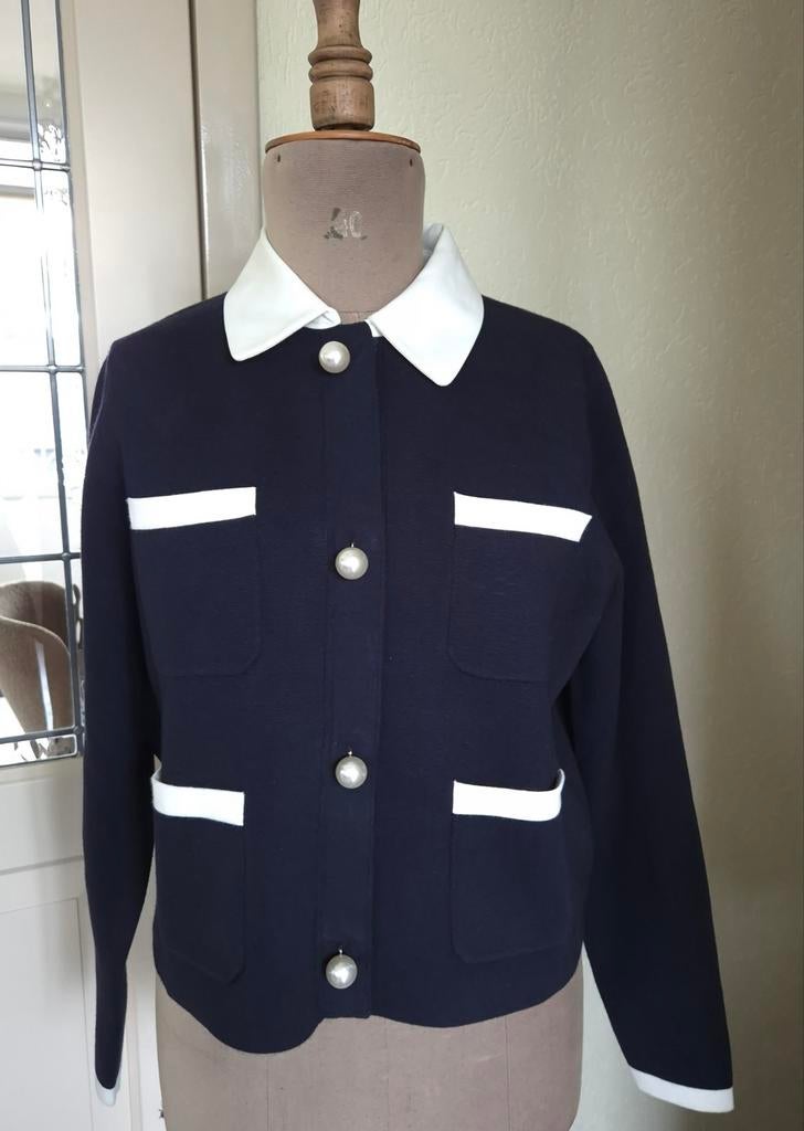 Essentiel Antwerp gebreid vest - jasje S NIEUWSTAAT!, Blauw, Ophalen of Verzenden, Zo goed als nieuw, Essentiel Antwerp