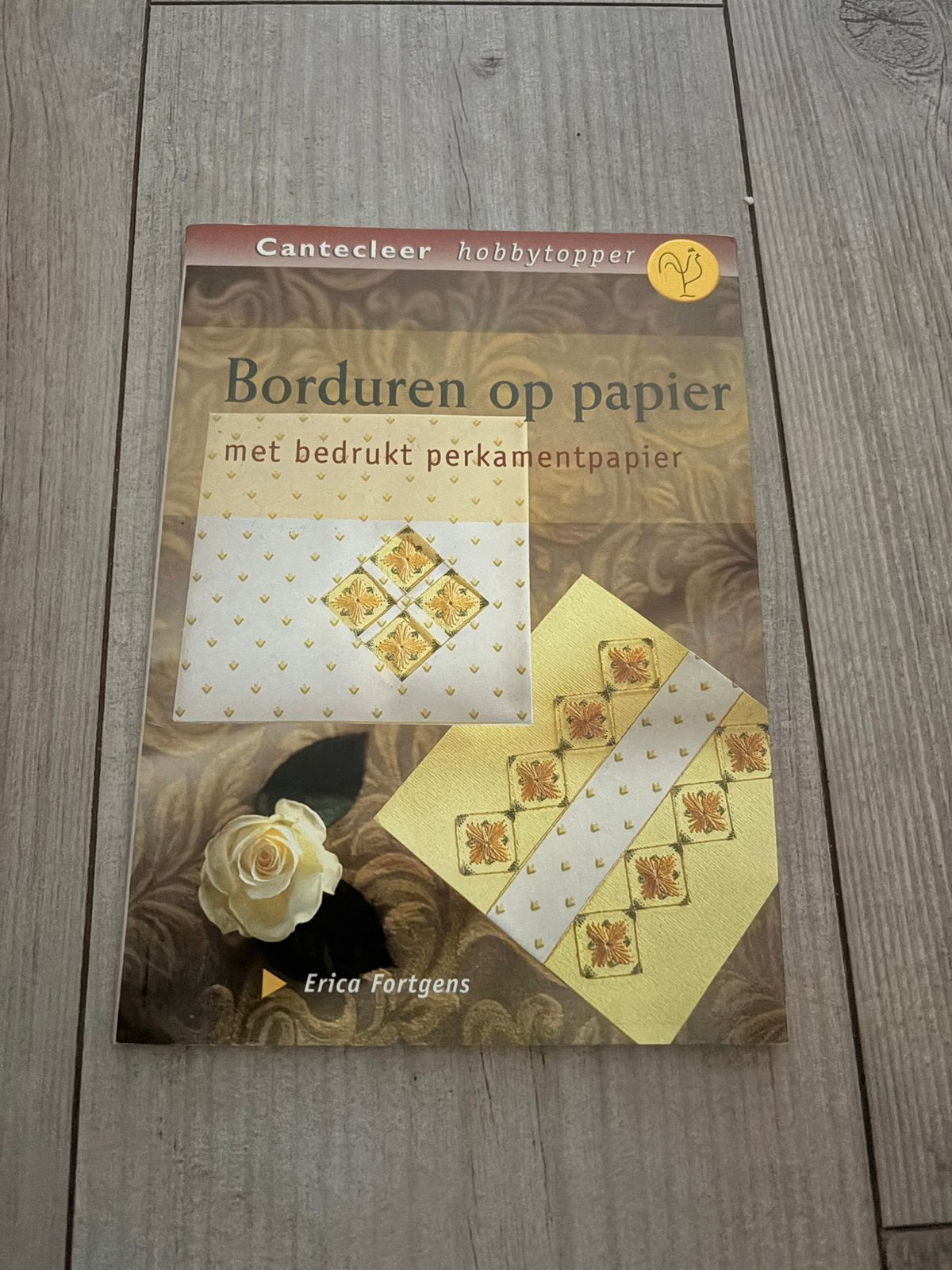 Borduren op papier - Erica Fortgens, Ophalen of Verzenden, Gelezen
