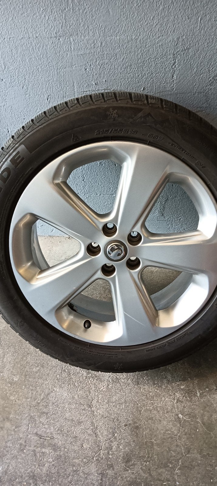 all velg met winterbanden