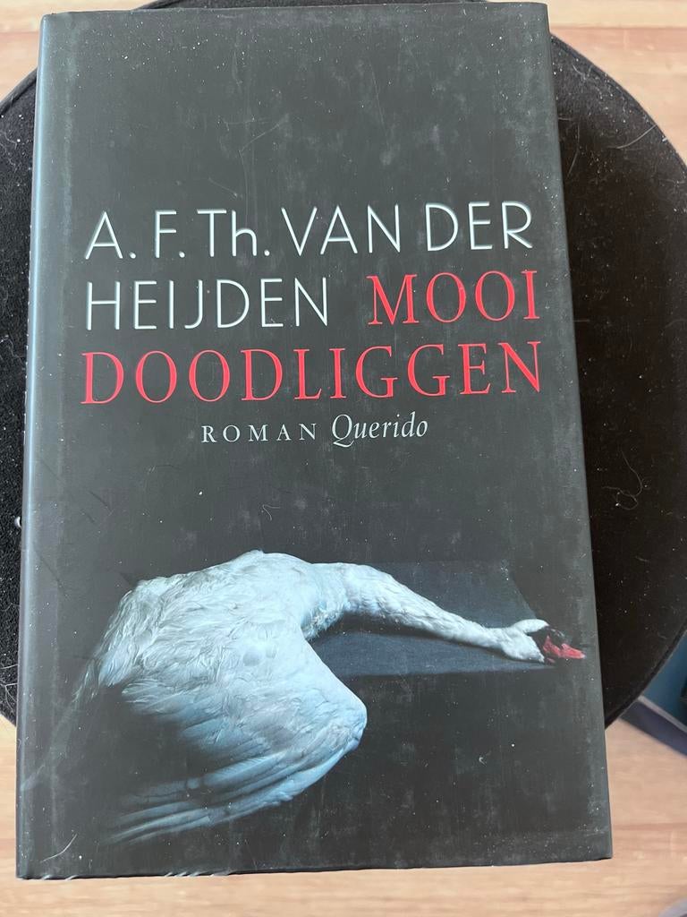 Mooi Doodliggen - A.F.Th. van der Heijden, Ophalen of Verzenden, Gelezen, Nederland