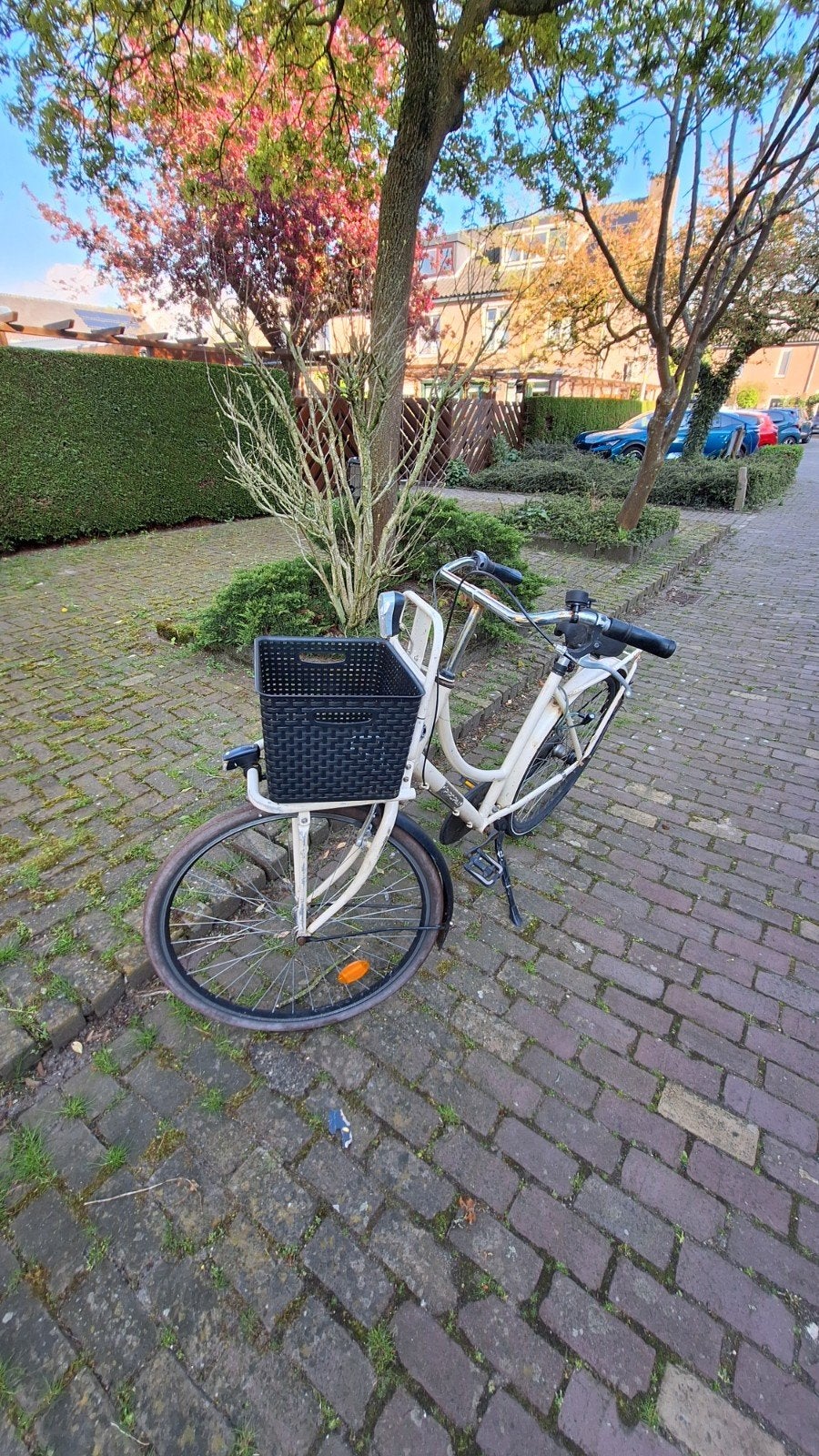 Damesfiets met mand - Crème/Wit, Overige merken, Terugtraprem, Ophalen of Verzenden, 53 tot 56 cm
