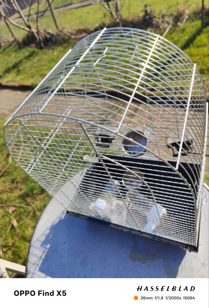 Te koop vogelkooi, Dieren en Toebehoren, Ophalen