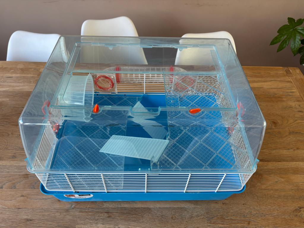 Hamsterkooi met accessores, Dieren en Toebehoren, Kooi, Minder dan 75 cm, Zo goed als nieuw, Hamster